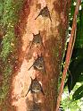 IMG_1590