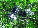 IMG_1678